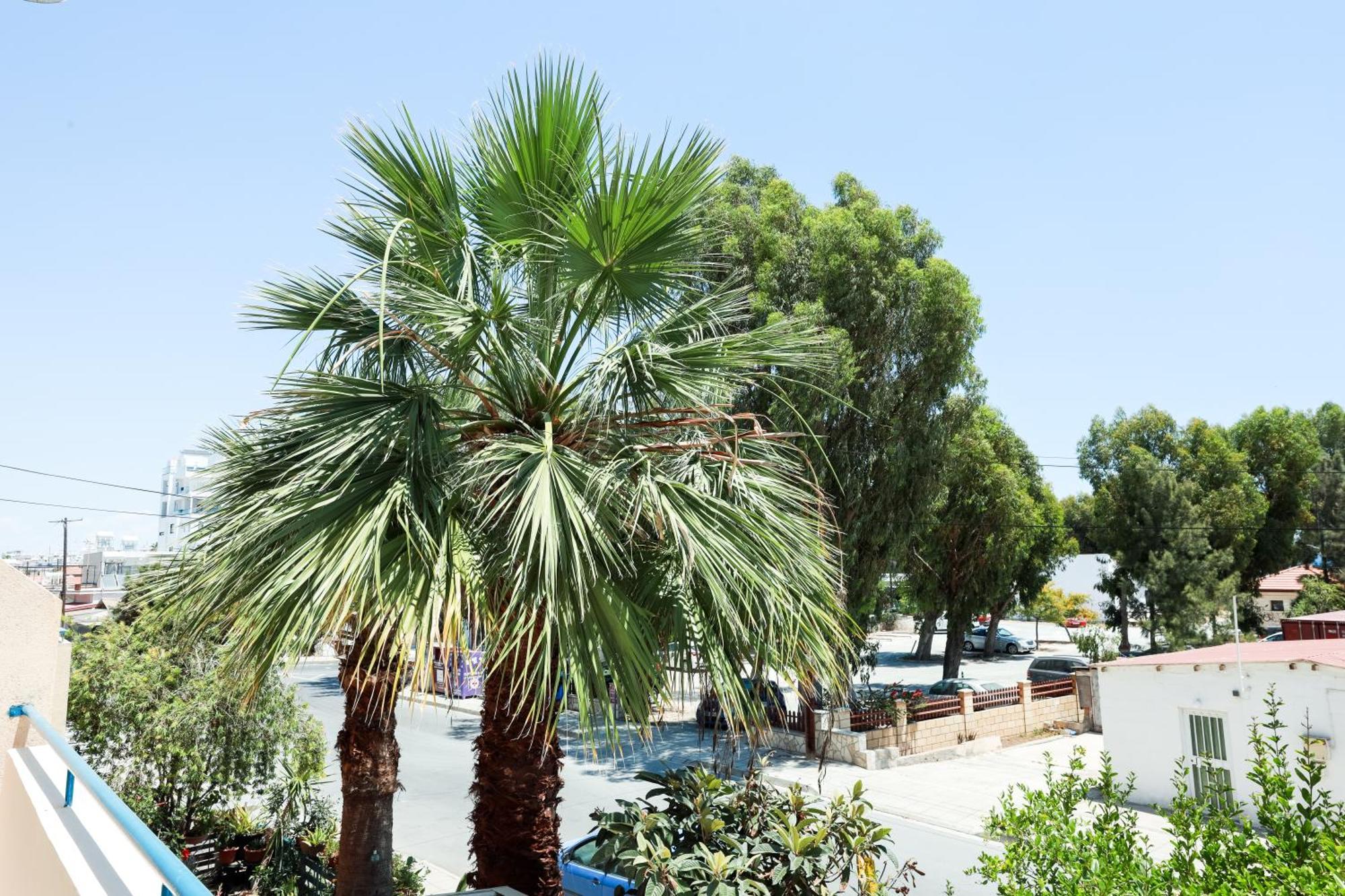 Mackenzie Apartment 101 Larnaca Luaran gambar